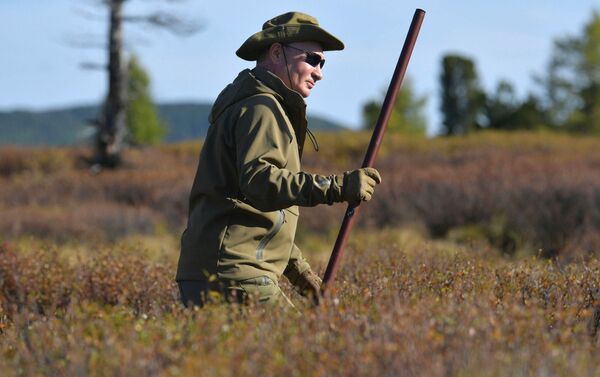 Tổng thống Liên bang Nga Vladimir Putin tại rừng taiga ở Siberia - Sputnik Việt Nam