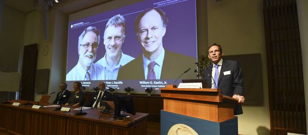 Thư ký Ủy ban Nobel Thomas Perlmann trong buổi công bố người đoạt giải Nobel tại Viện Caroline ở Stockholm, Thụy Điển Thư ký Ủy ban Nobel Thomas Perlmann trong buổi công bố người đoạt giải Nobel tại Viện Caroline ở Stockholm, Thụy Điển - Sputnik Việt Nam