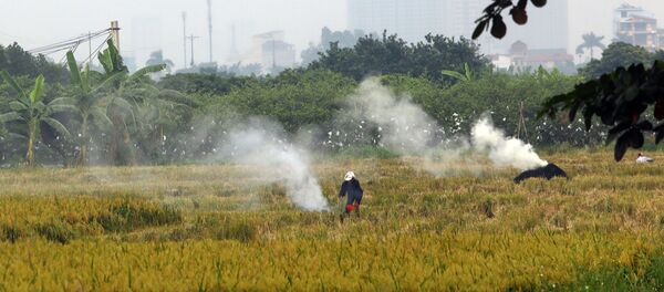 Một phần khói từ những vụ đốt rơm rạ này bay vào nội thành, gây ra tình trạng ô nhiễm không khí trầm trọng. - Sputnik Việt Nam