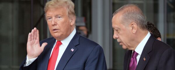 Tổng thống Hoa Kỳ Donald Trump và Tổng thống Thổ Nhĩ Kỳ Recep Erdogan. Tổng thống Hoa Kỳ Donald Trump và Tổng thống Thổ Nhĩ Kỳ Recep Erdogan. - Sputnik Việt Nam