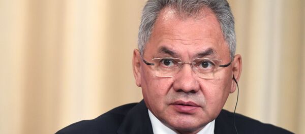 Bộ trưởng Quốc phòng Nga Sergei Shoigu - Sputnik Việt Nam