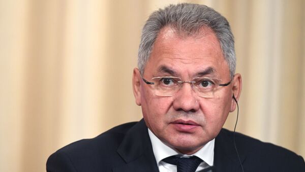 Bộ trưởng Quốc phòng Nga Sergei Shoigu - Sputnik Việt Nam