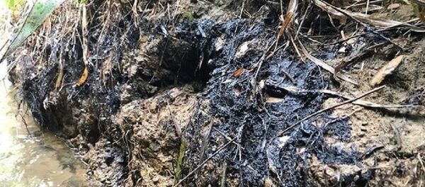 Vụ xả thải nước sông Đà - Sputnik Việt Nam