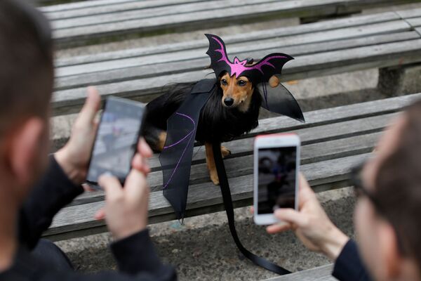 Thành viên tham gia diễu hành Halloween ở New York - Sputnik Việt Nam