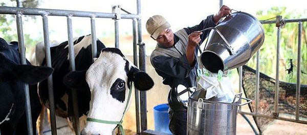 Việt Nam đặt mục tiêu năm 2020, xuất khẩu sữa sang Trung Quốc sẽ tăng từ 120 triệu USD lên 300 triệu USD. - Sputnik Việt Nam