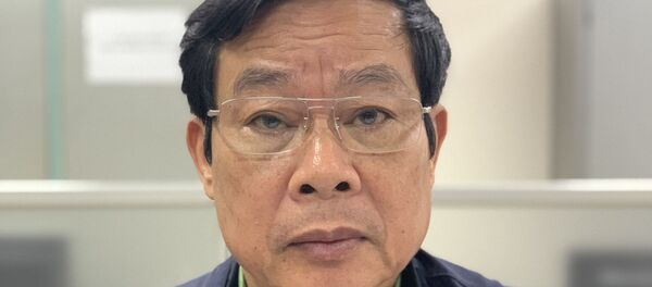 Nguyên Ủy viên Trung ương Đảng khóa X, nguyên Phó Trưởng ban Tuyên giáo Trung ương Nguyễn Bắc Son. - Sputnik Việt Nam