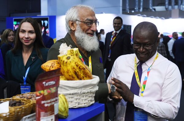 Tổng thống Putin cho biết điều gì cản trở sự phát triển của các nước châu Phi Tổng thống Putin cho biết điều gì cản trở sự phát triển của các nước châu Phi - Sputnik Việt Nam