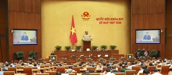 Quang cảnh phiên họp. - Sputnik Việt Nam