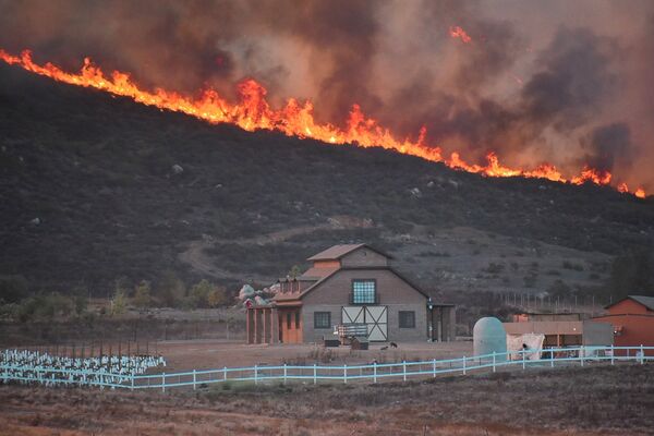 Hỏa hoạn ở Valle de Guadalupe, Mexico - Sputnik Việt Nam