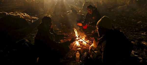 Những người di cư ở biên giới Croatia-Slovenia - Sputnik Việt Nam