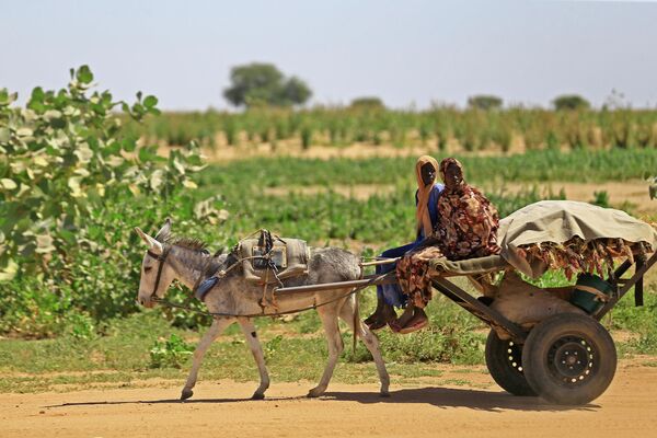 Phụ nữ Sudan gần trại dành cho những người di tản nội bộ ở El Fashir - Sputnik Việt Nam