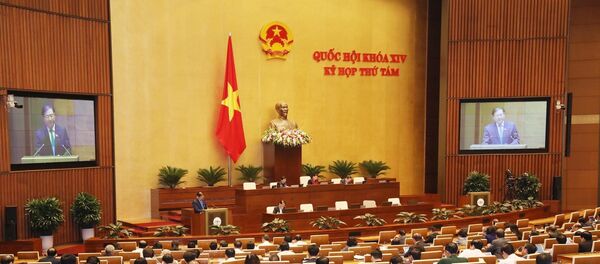 Quốc hội họp phiên sáng 11/11/2019. - Sputnik Việt Nam