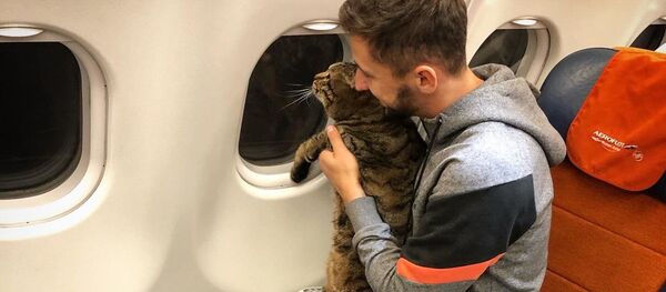 Hành khách và con mèo nặng hơn 8 kg. Hành khách và con mèo nặng hơn 8 kg. - Sputnik Việt Nam