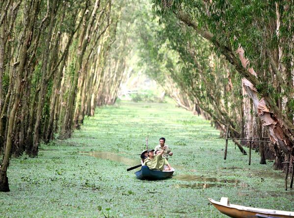 Cán bộ Chi cục Kiểm lâm An Giang phối hợp với Ban Quản lý rừng tràm Trà Sư đi tuần tra bảo vệ rừng - Sputnik Việt Nam