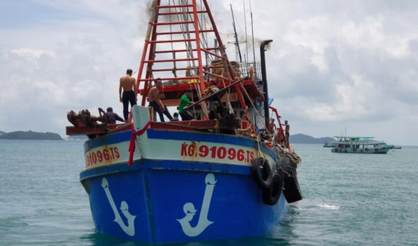 Việt Nam được EC đánh giá cao trong việc khắc phục “thẻ vàng” IUU Việt Nam được EC đánh giá cao trong việc khắc phục “thẻ vàng” IUU - Sputnik Việt Nam