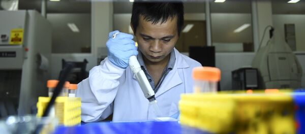 Nhân viên phòng thí nghiệm nghiên cứu mẫu muỗi tại Viện Vệ sinh và Dịch tễ học Quốc gia tại Hà Nội - Sputnik Việt Nam