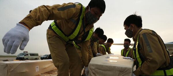 Nhân viên sân bay quốc tế Nội Bài vận chuyển thi thể các nạn nhân lên ô tô để đưa về quê nhà. - Sputnik Việt Nam