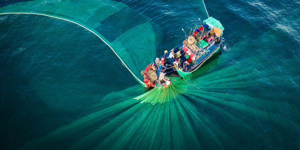 Ảnh Dancing Nets (Mạng nhảy múa) của nhiếp ảnh gia Việt Nam Nguyễn Ngọc Thiên trong Top 50 hạng mục AMATEUR - Built Environment (Môi trường xây dựng/ Kiến trúc. Phần nghiệp dư)  của cuộc thi The EPSON International Pano Awards 2019 - Sputnik Việt Nam