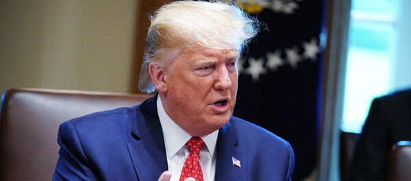 Tổng thống Hoa Kỳ Donald Trump - Sputnik Việt Nam