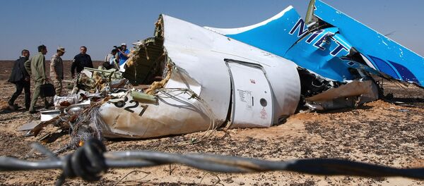 Mảnh vỡ máy bay Airbus A321 của hãng Kogalymavia, bay từ thành phố Sharm el Sheikh đến Saint Petersburg - Sputnik Việt Nam