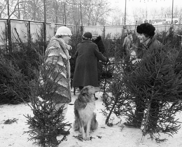 Người dân Moskva tại chợ bán cây thông trong đêm giao thừa, năm 1987 - Sputnik Việt Nam