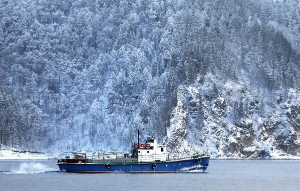 Mùa đông ở khu vực Krasnoyarsk - Sputnik Việt Nam