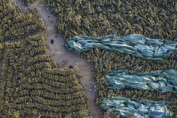 Làm thế nào một nhiếp ảnh gia Trung Quốc dọn sạch thành phố khỏi bãi rác xe đạp - Sputnik Việt Nam