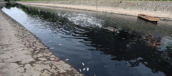 Hà Nội chuyển hướng làm sạch sông Tô Lịch. Hà Nội chuyển hướng làm sạch sông Tô Lịch. - Sputnik Việt Nam