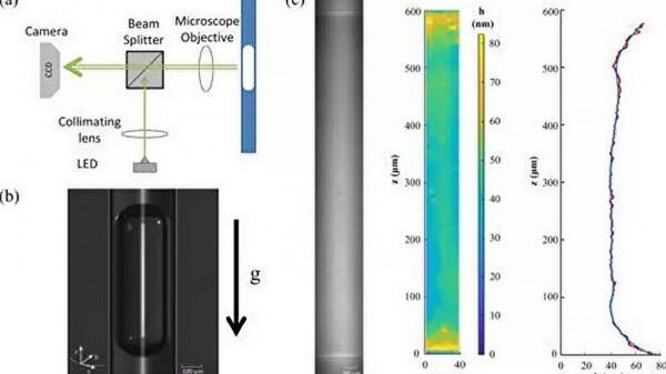 Một sinh viên tìm ra giải đáp cho câu đố mà đã trăm năm nay vẫn chưa ai giải thích được - Sputnik Việt Nam