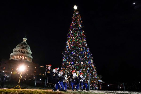Lễ  thắp sáng cây thông Noel trước Tòa nhà Quốc hội Washington, năm 2019 - Sputnik Việt Nam