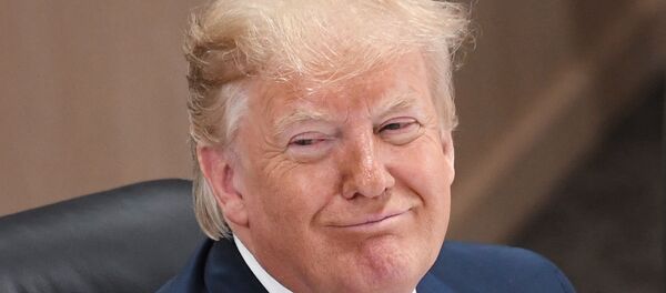 Tổng thống Mỹ Donald Trump - Sputnik Việt Nam