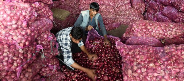 Sắp xếp hành tây tại một khu chợ ở thành phố Ahmedabad của Ấn Độ Sắp xếp hành tây tại một khu chợ ở thành phố Ahmedabad của Ấn Độ - Sputnik Việt Nam