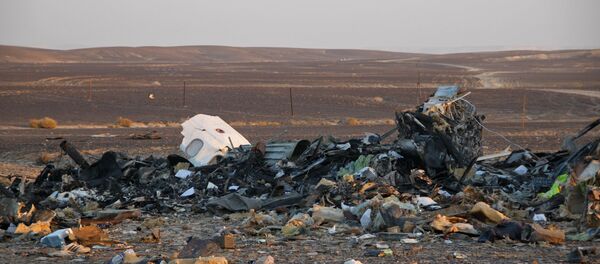 Công việc tìm kiếm ở hiện trường vụ tai nạn máy bay Airbus A321 của Nga tại Ai Cập - Sputnik Việt Nam