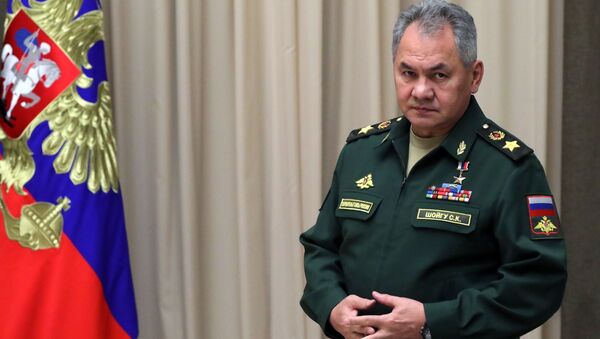 Bộ trưởng Bộ Quốc phòng Sergei Shoigu. - Sputnik Việt Nam