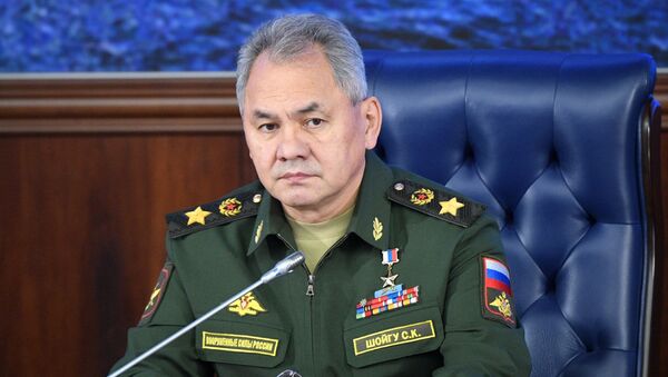 Bộ trưởng Bộ Quốc phòng Nga Sergei Shoigu. - Sputnik Việt Nam