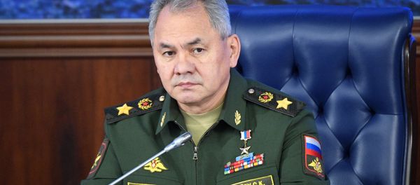 Bộ trưởng Bộ Quốc phòng Nga Sergei Shoigu. - Sputnik Việt Nam