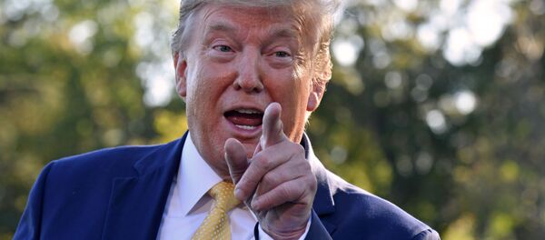 Donald Trump Donald Trump - Sputnik Việt Nam