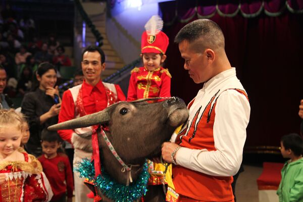 Lễ hội Cây thông Năm mới của Nga trong rạp xiếc Trung ương Việt Nam - Sputnik Việt Nam