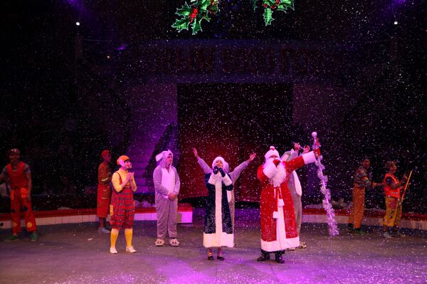 Lễ hội Cây thông Năm mới của Nga trong rạp xiếc Trung ương Việt Nam - Sputnik Việt Nam