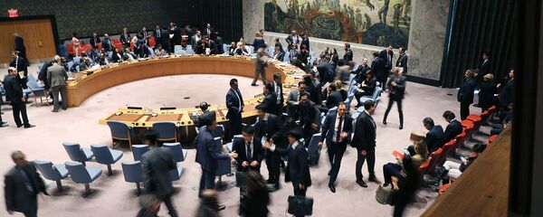 Hội đồng Bảo an LHQ - Sputnik Việt Nam