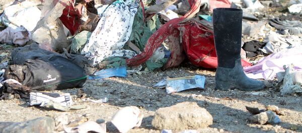 Vụ tai nạn máy bay Boeing 737-800. - Sputnik Việt Nam