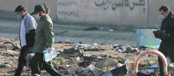 Vụ tai nạn máy bay Boeing 737-800. - Sputnik Việt Nam