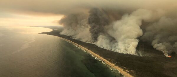 Cháy rừng ở Úc Cháy rừng ở Úc - Sputnik Việt Nam