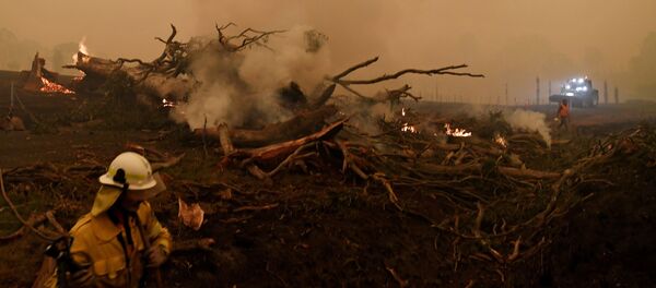 Đập lửa trong đám cháy rừng ở Úc Đập lửa trong đám cháy rừng ở Úc - Sputnik Việt Nam