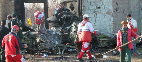 Vụ tai nạn máy bay Boeing 737-800. Vụ tai nạn máy bay Boeing 737-800. - Sputnik Việt Nam