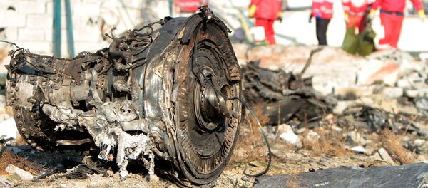 Vụ tai nạn máy bay Boeing 737-800 Vụ tai nạn máy bay Boeing 737-800 - Sputnik Việt Nam