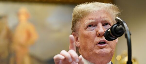 Tổng thống Hoa Kỳ Donald Trump - Sputnik Việt Nam