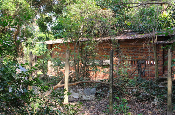 Vì sao không khởi tố vụ 9 bộ xương người ở Tây Ninh? Vì sao không khởi tố vụ 9 bộ xương người ở Tây Ninh? - Sputnik Việt Nam