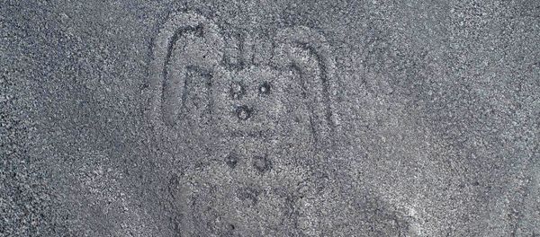 Hình vẽ geoglyph được chạm khắc trên cao nguyên Nazca ở Peru - Sputnik Việt Nam
