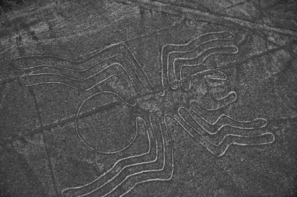 Những hình ảnh kì bí được chụp từ vệ tinh. Ai tạo ra những hình vẽ bí ẩn trên mặt đất Những hình ảnh kì bí được chụp từ vệ tinh. Ai tạo ra những hình vẽ bí ẩn trên mặt đất - Sputnik Việt Nam